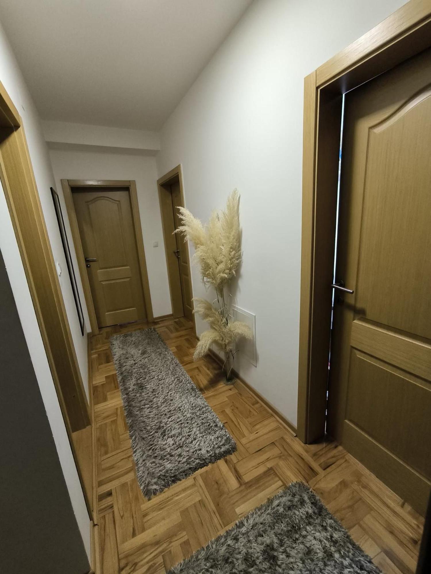 Apartman Zivic Ni Exteriér fotografie